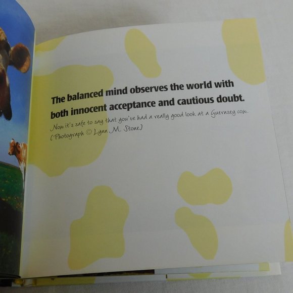 The Tao of Cow What Cows Teach Us by Dolly Mu Hardback Dust Jacket Illustrated - Picture 8 of 12